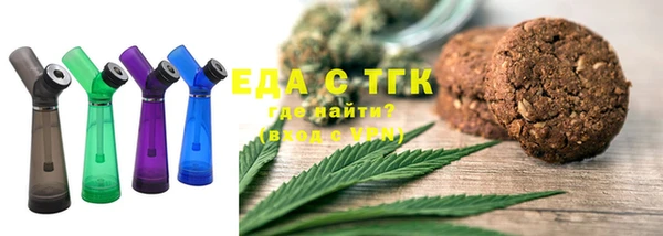 индика Верхний Тагил