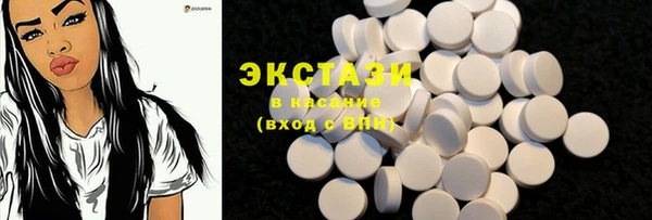 индика Верхний Тагил