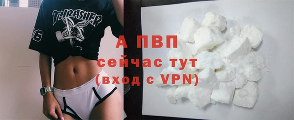 индика Верхний Тагил