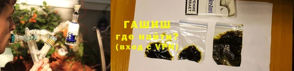 индика Верхний Тагил