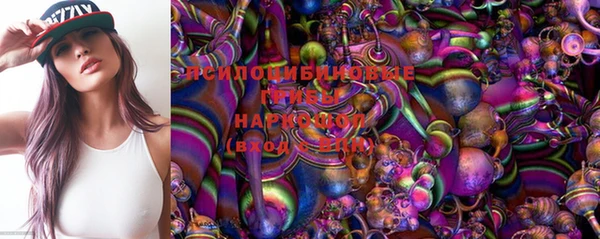 PSILOCYBIN Верея