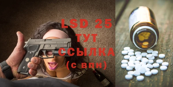 PSILOCYBIN Верея