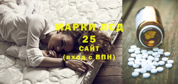 PSILOCYBIN Верея