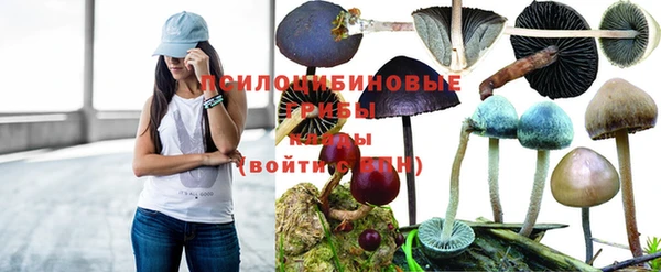 индика Верхний Тагил