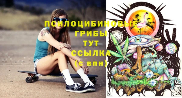 PSILOCYBIN Верея